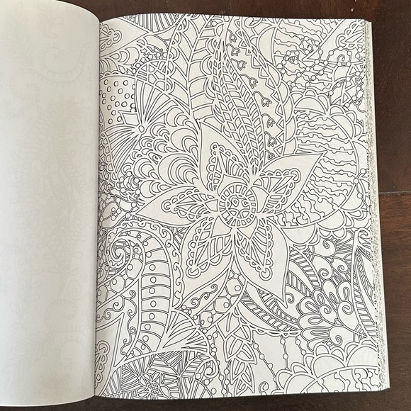 ✨NEW✨Creative Stress Relieving Adult Coloring Book Series - Picture 7 of 9